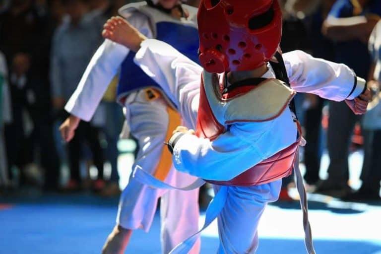 Академия «TAEKWON-DO» — фото 6