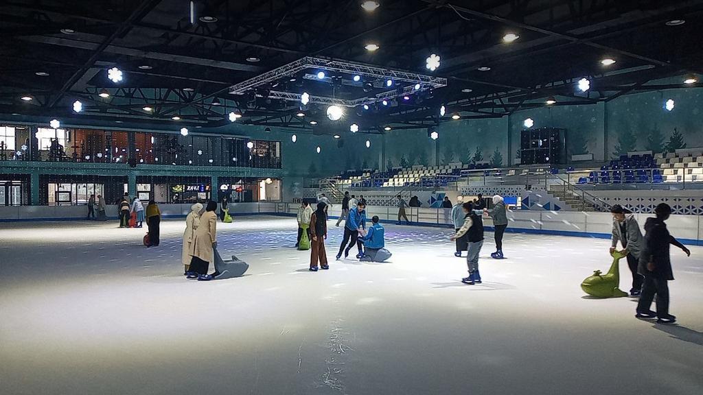 ICE RINK — фото 2