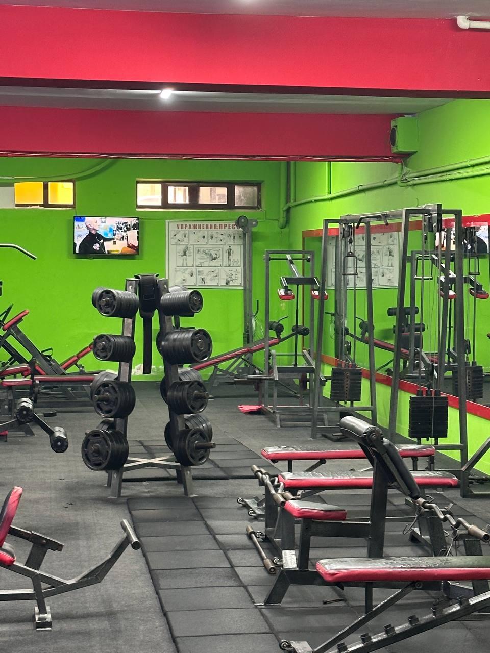 Gladiator fight club studio image