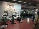 Shymyr Gym