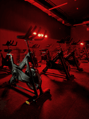 Spin Lab