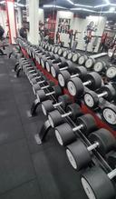 BroGym