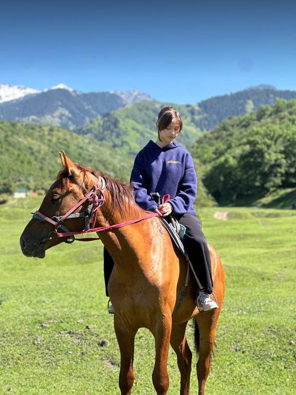 Tauran horses talgar — фото 2
