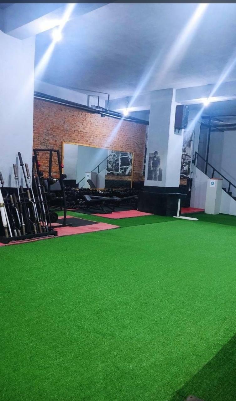 Зверь studio image
