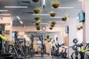 QaharMan Fit