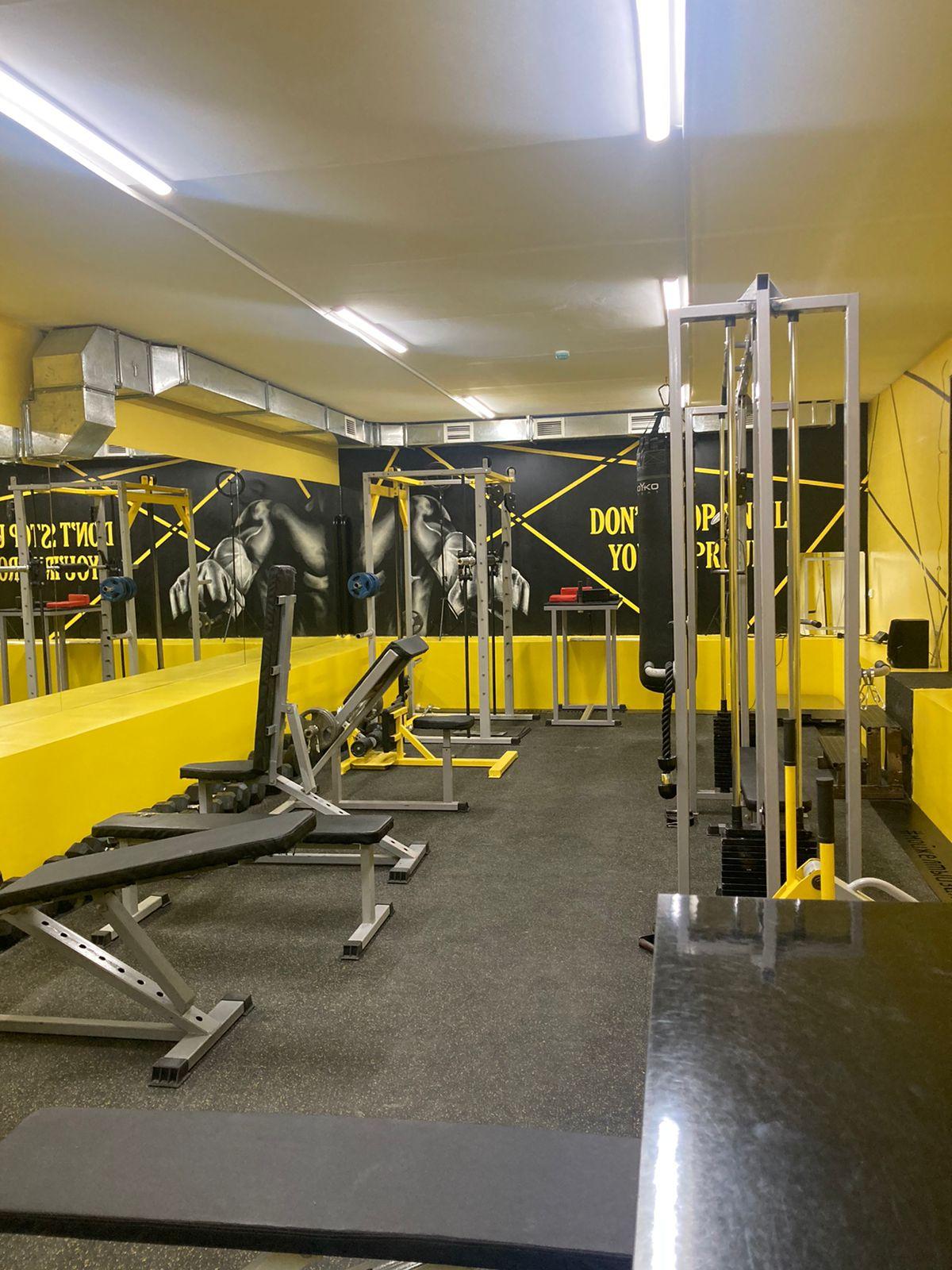 Penguin на Дулатова studio image