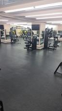 Flex Fitness