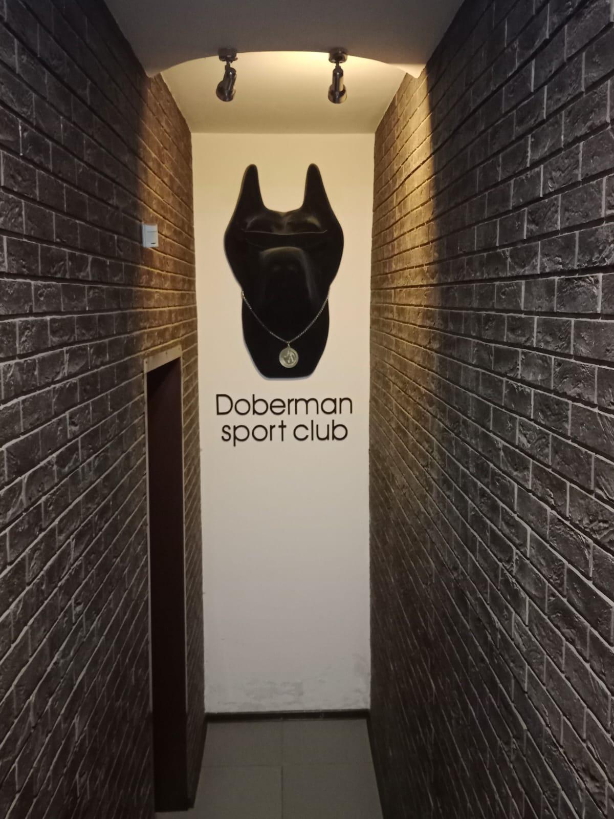 CK Doberman studio image
