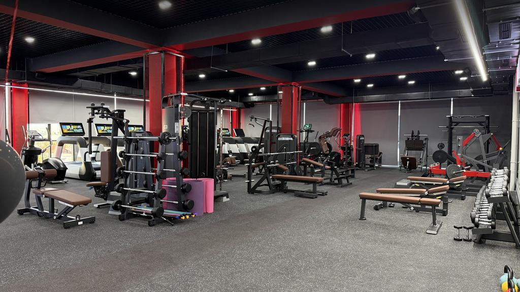 Men's Fit & Lady Fit — фото 11