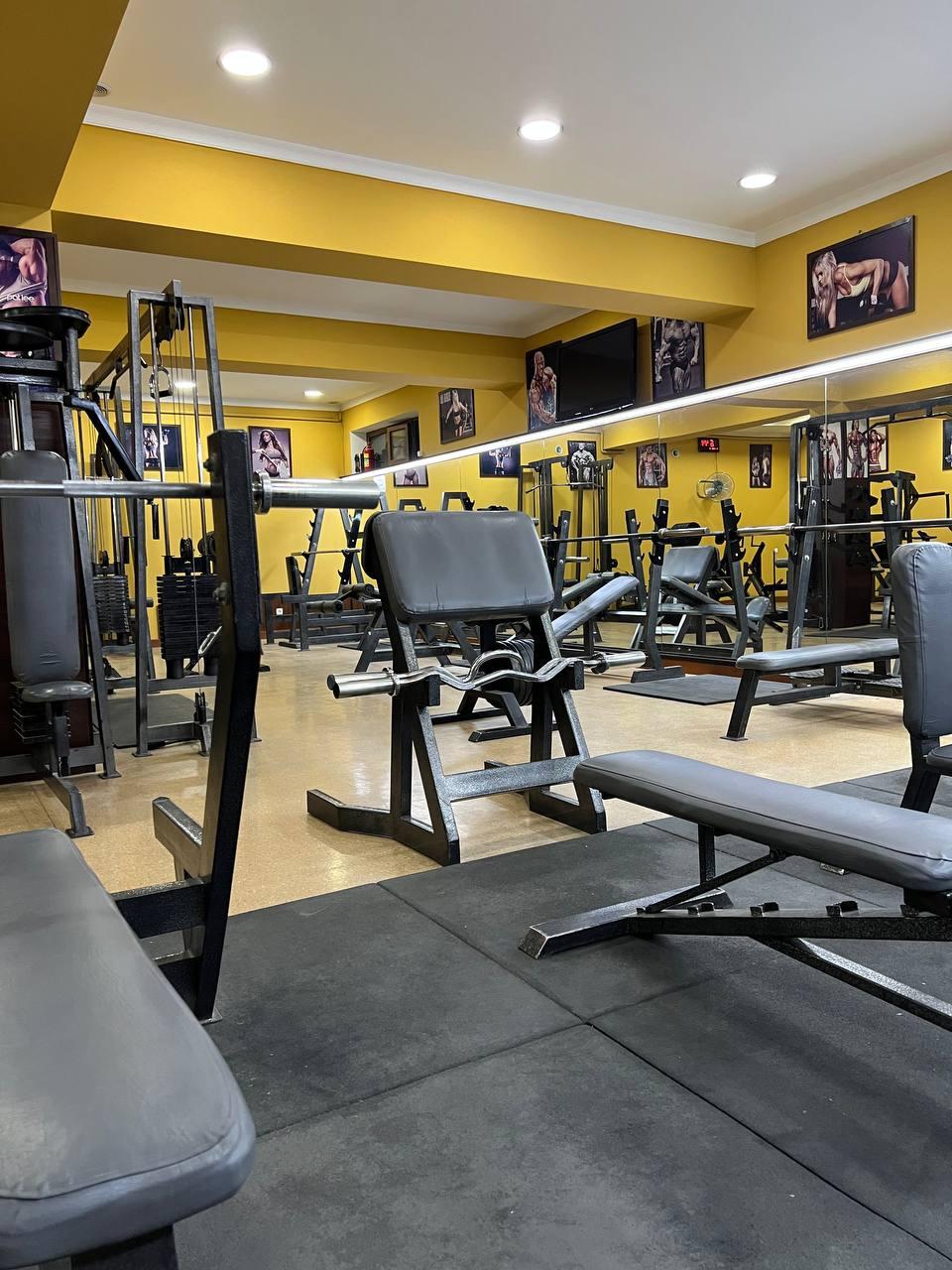 Kings GYM studio image