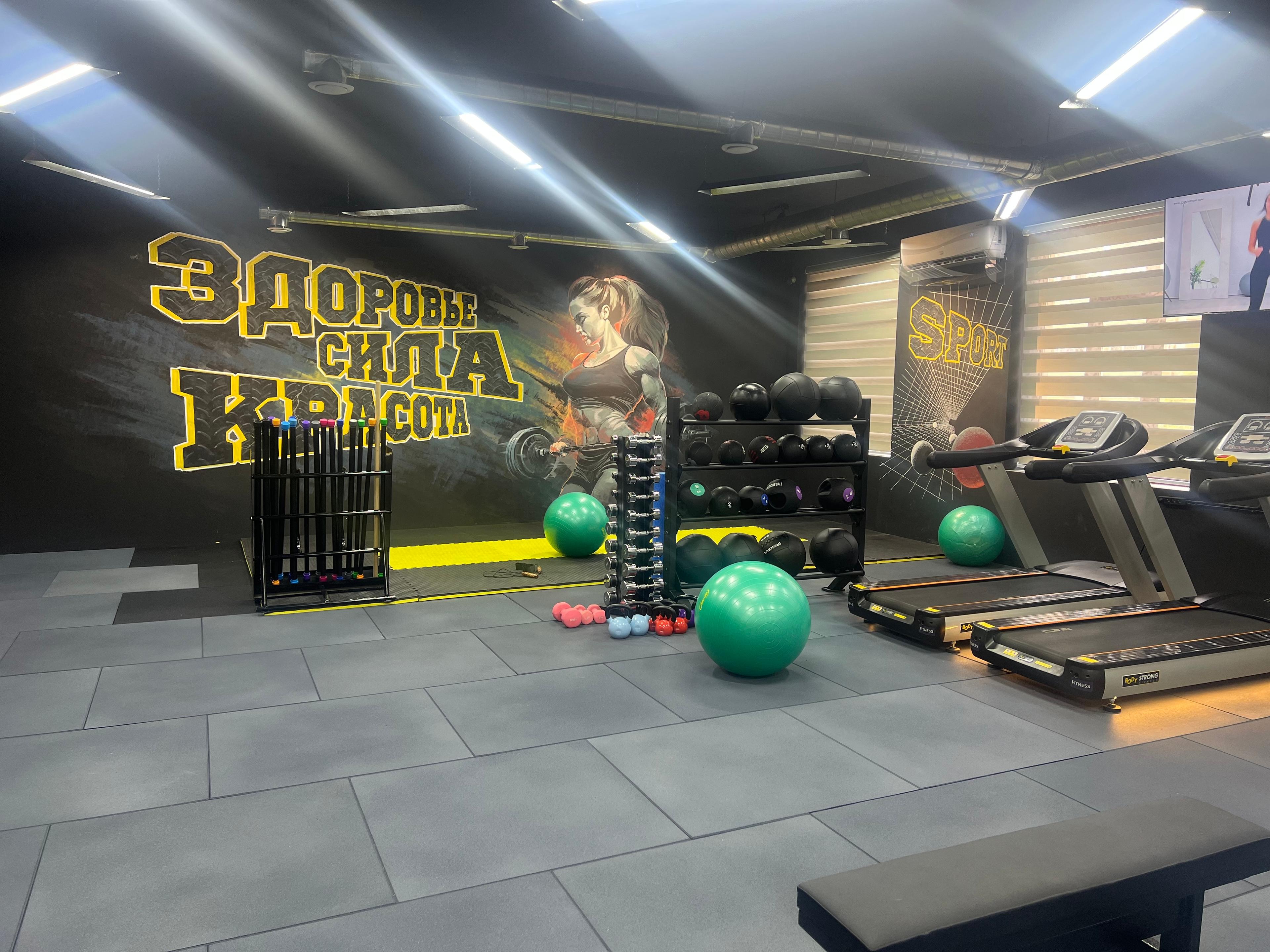 ALPHA SPORT SERGELI GYM studio image