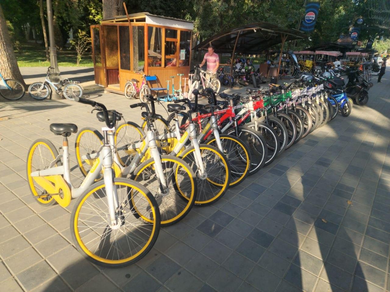 Веломир studio image