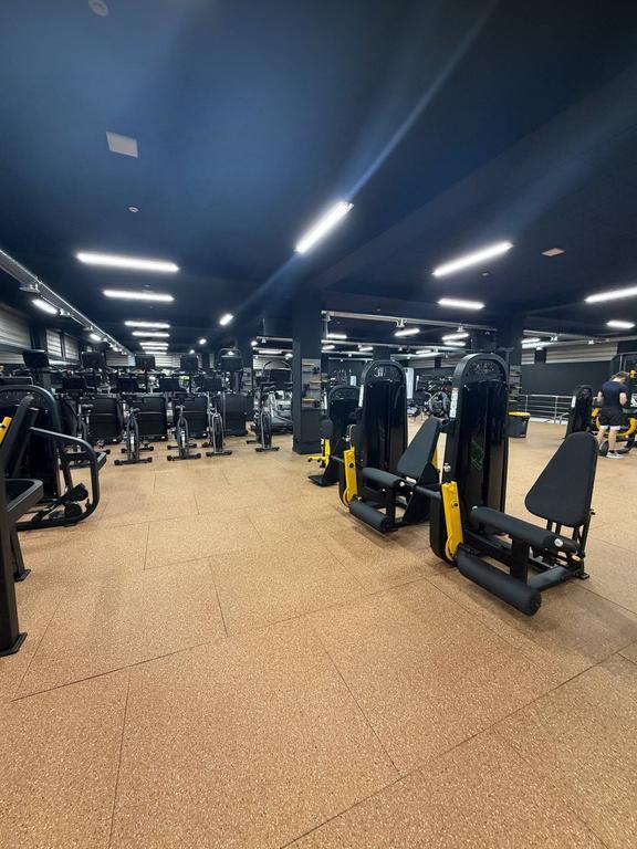 ALPHA SPORT SERGELI FIT — фото 10