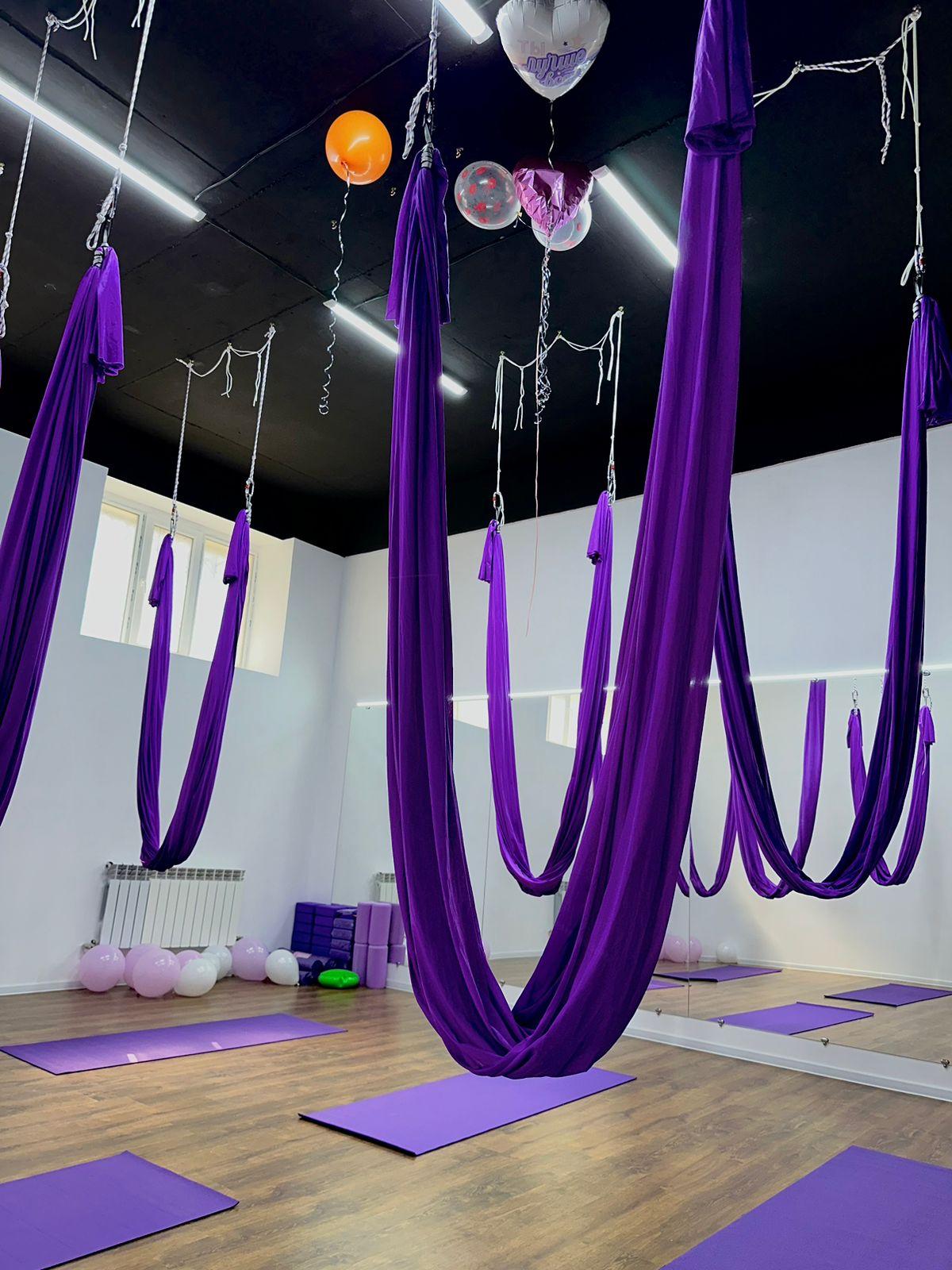 Dazzle Stretch studio image